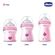 Mamadeira-Step-Up-0M--150ML-Fluxo-Normal-Chicco-Rosa-8-24-53-11-18-9
